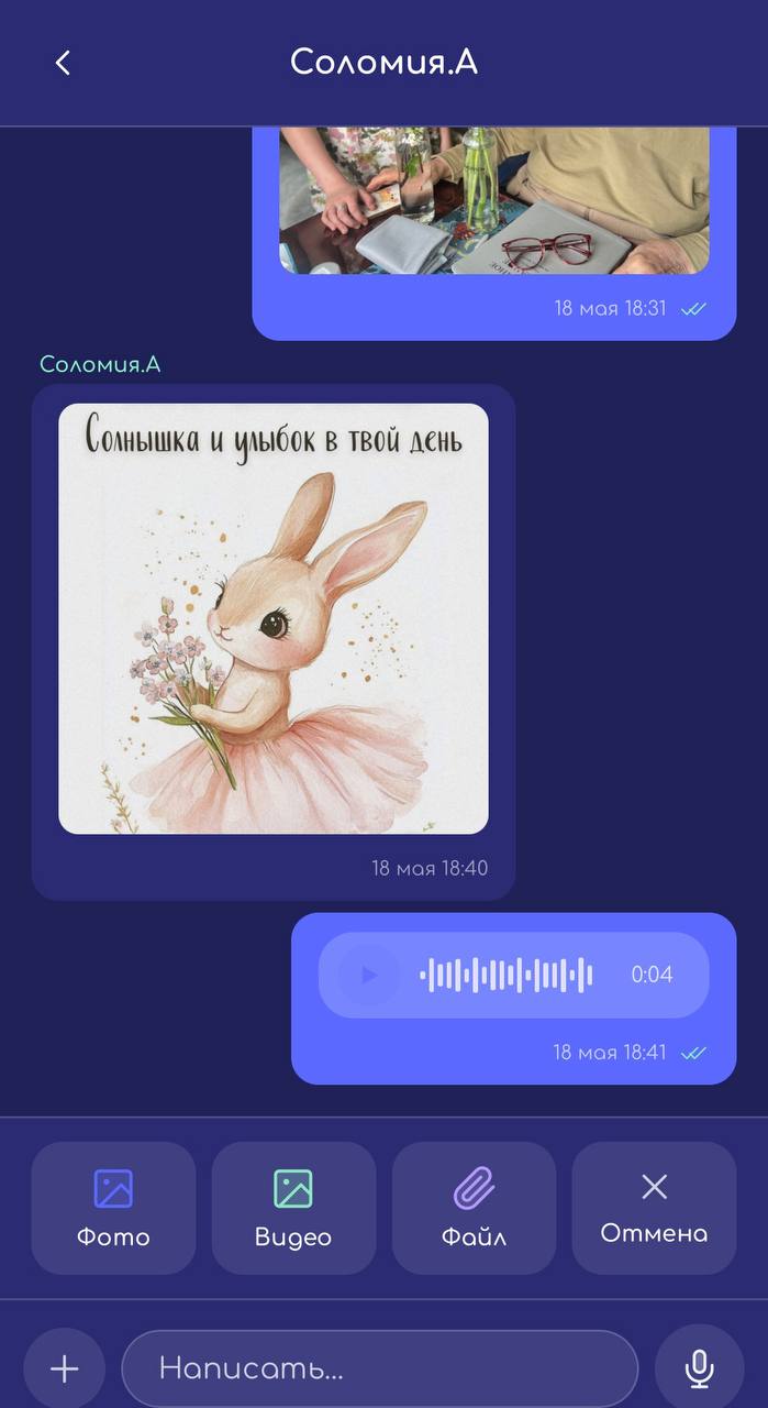 Чат